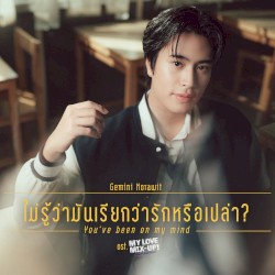 ไม่รู้ว่ามันเรียกว่ารักหรือเปล่า (You've Been On My Mind)
