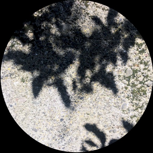 MOA066