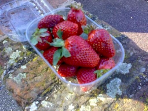 The Strawberry Sessions EP