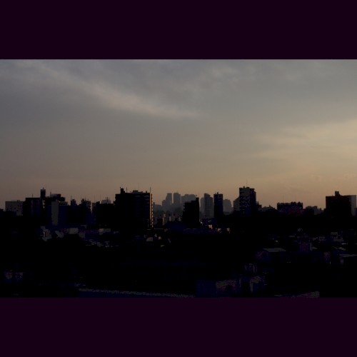 XII (2012)