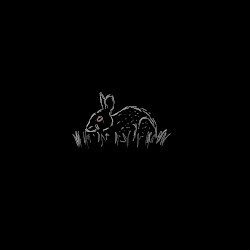 Precursor