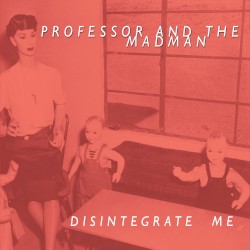 Disintegrate Me