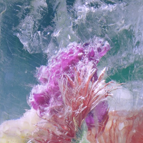 Plexiglass