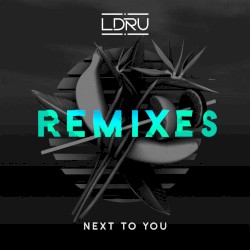 Next to You (Remixes)