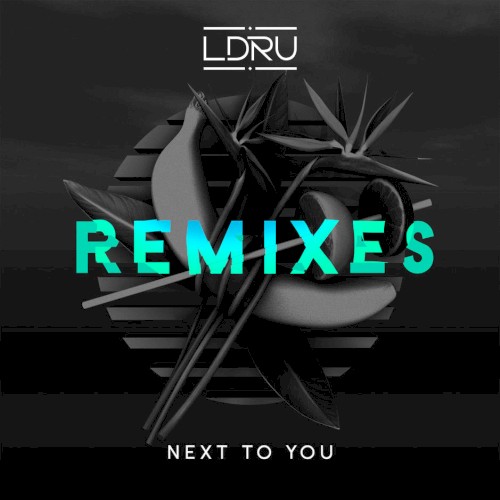 Next to You (Remixes)
