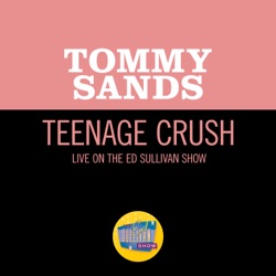 Teenage Crush