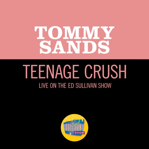 Teenage Crush