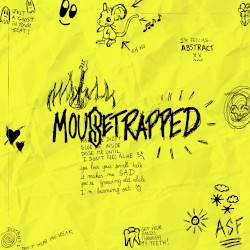Mousetrapped (remix)