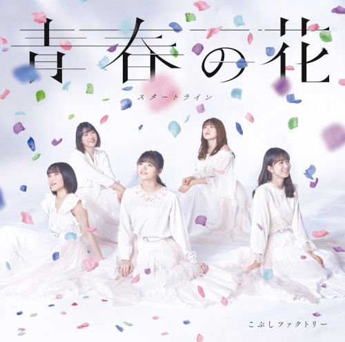 青春の花 / スタートライン