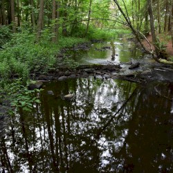 Gudsbergasjön
