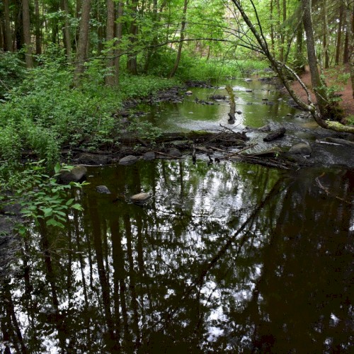 Gudsbergasjön