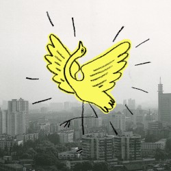 Yellow Crane