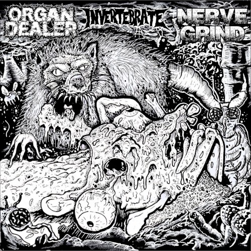 Organ Dealer / Nerve Grind / Invertebrate