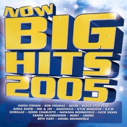 Now Big Hits 2005