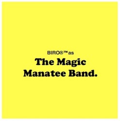 Biro as The Magic Manatee Band