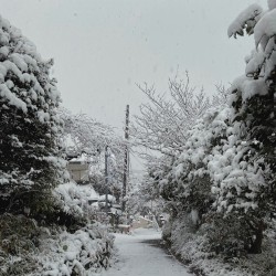 Hayama Ambient 043