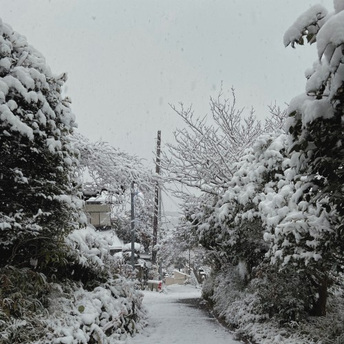 Hayama Ambient 043