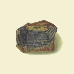 GEMS, 3