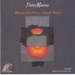Warm Sound in a Gray Field