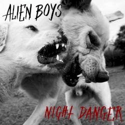 Night Danger
