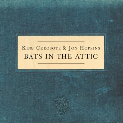Bats in the Attic