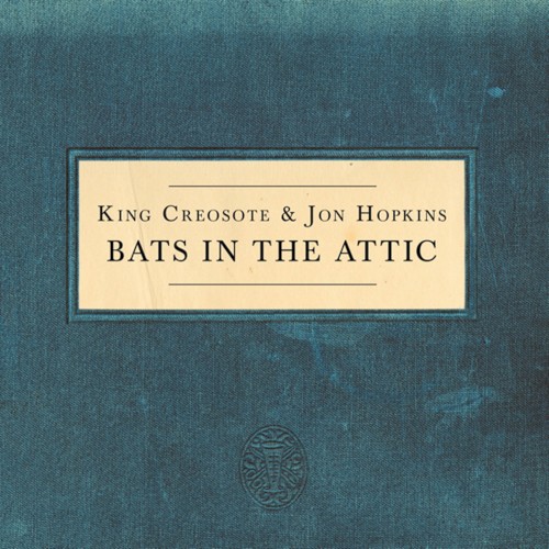 Bats in the Attic