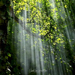 Yearning