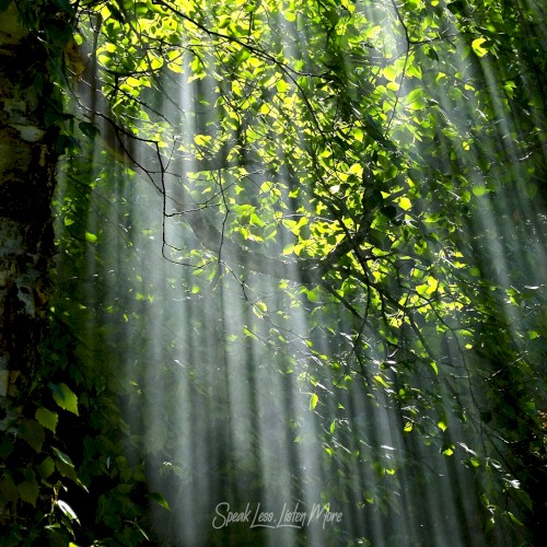 Yearning