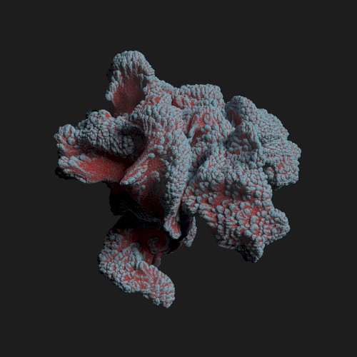 Prana EP