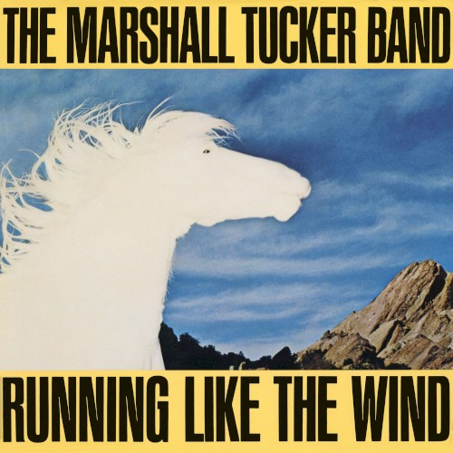 Running Like the Wind