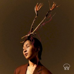 오늘밤 당산나무 아래서
