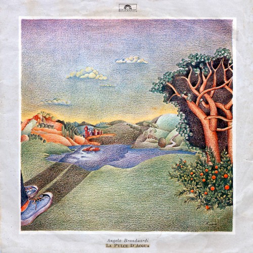 La pulce d'acqua