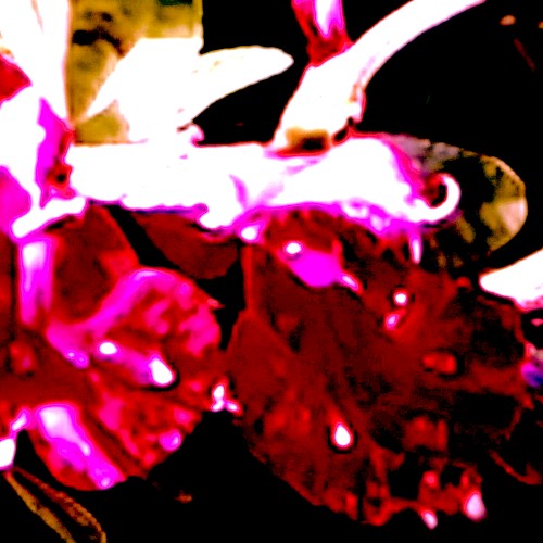 Phase