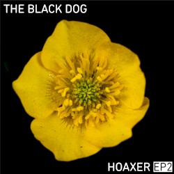 Hoaxer EP2