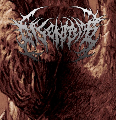 2012 Promo