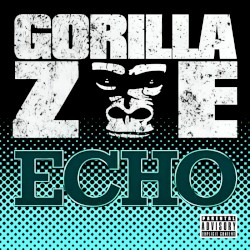 Echo