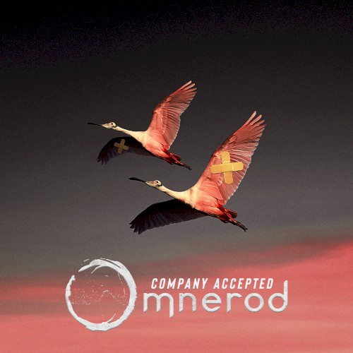Company Accepted