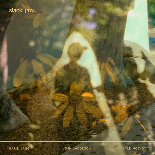Slack Jaw