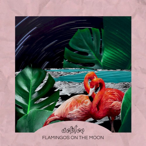 flamingos on the moon