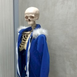 sans in real life.
