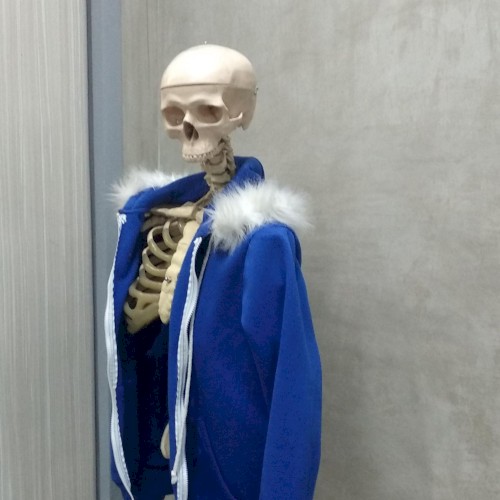 sans in real life.
