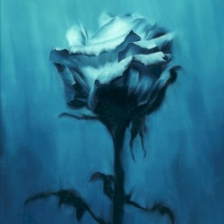 Deep inside + Unknown best