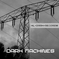 Dark Machines