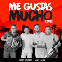 Me gustas mucho (remix)