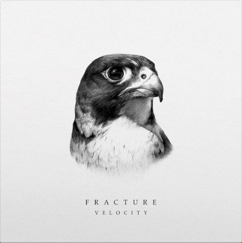 Velocity