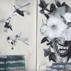 DATURA