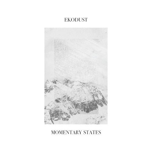 Momentary States