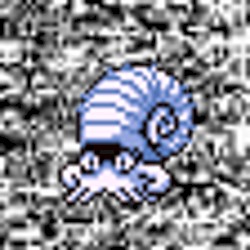 #138 ~ Omanyte