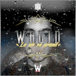 La Vie en grand
