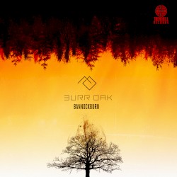 Bannockburn